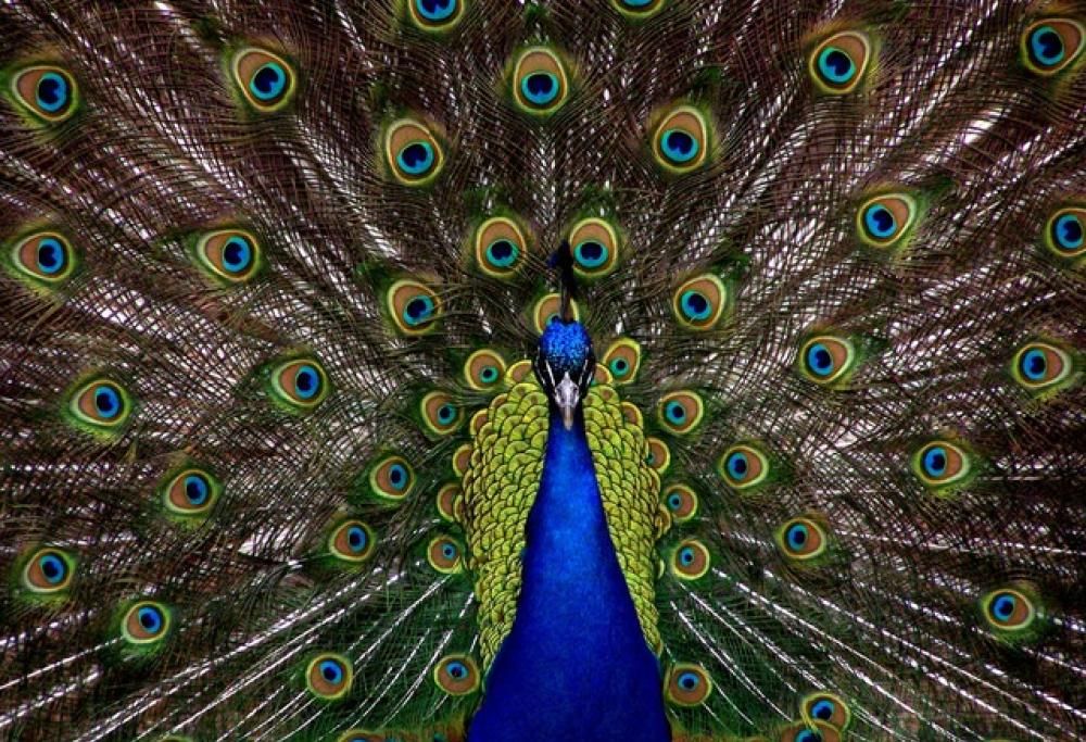 La qualità che ti rende irresistibile… secondo l’oroscopo