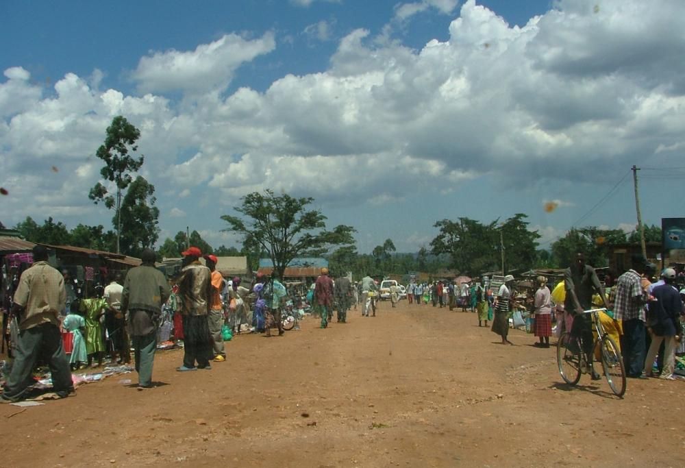 La stufa tutto-fare: cova le uova e ricarica il telefono