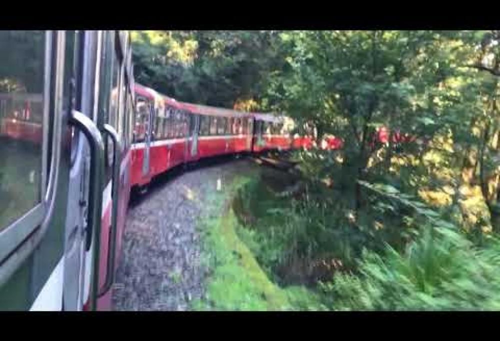Scopri l’incredibile ferrovia centenaria nel cuore della foresta: il video