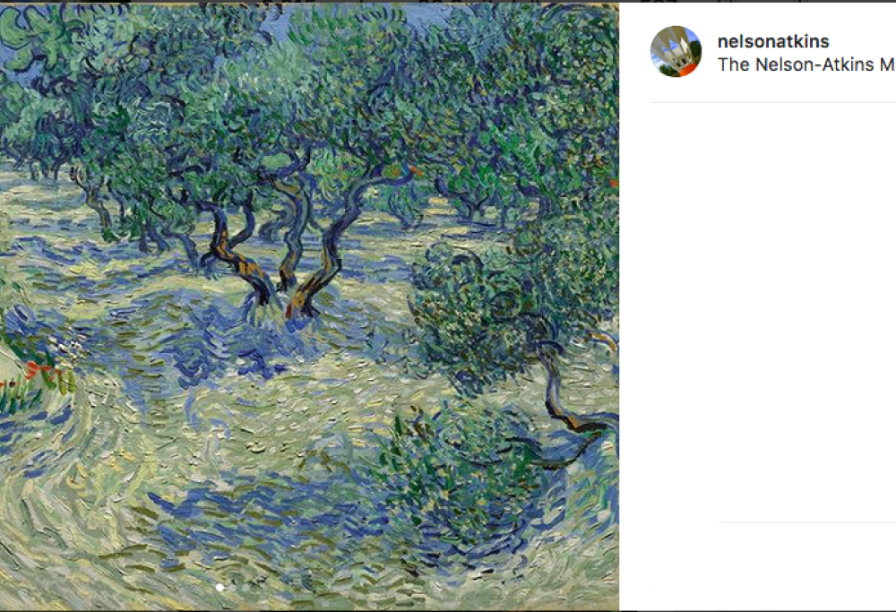 Ohibò: c’ è una cavalletta intrappolata in un quadro di Van Gogh!