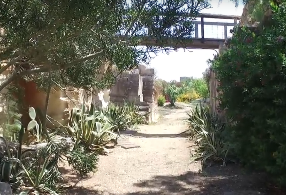 A Favignana un incredibile giardino sfida la natura: è il Giardino dell’Impossibile