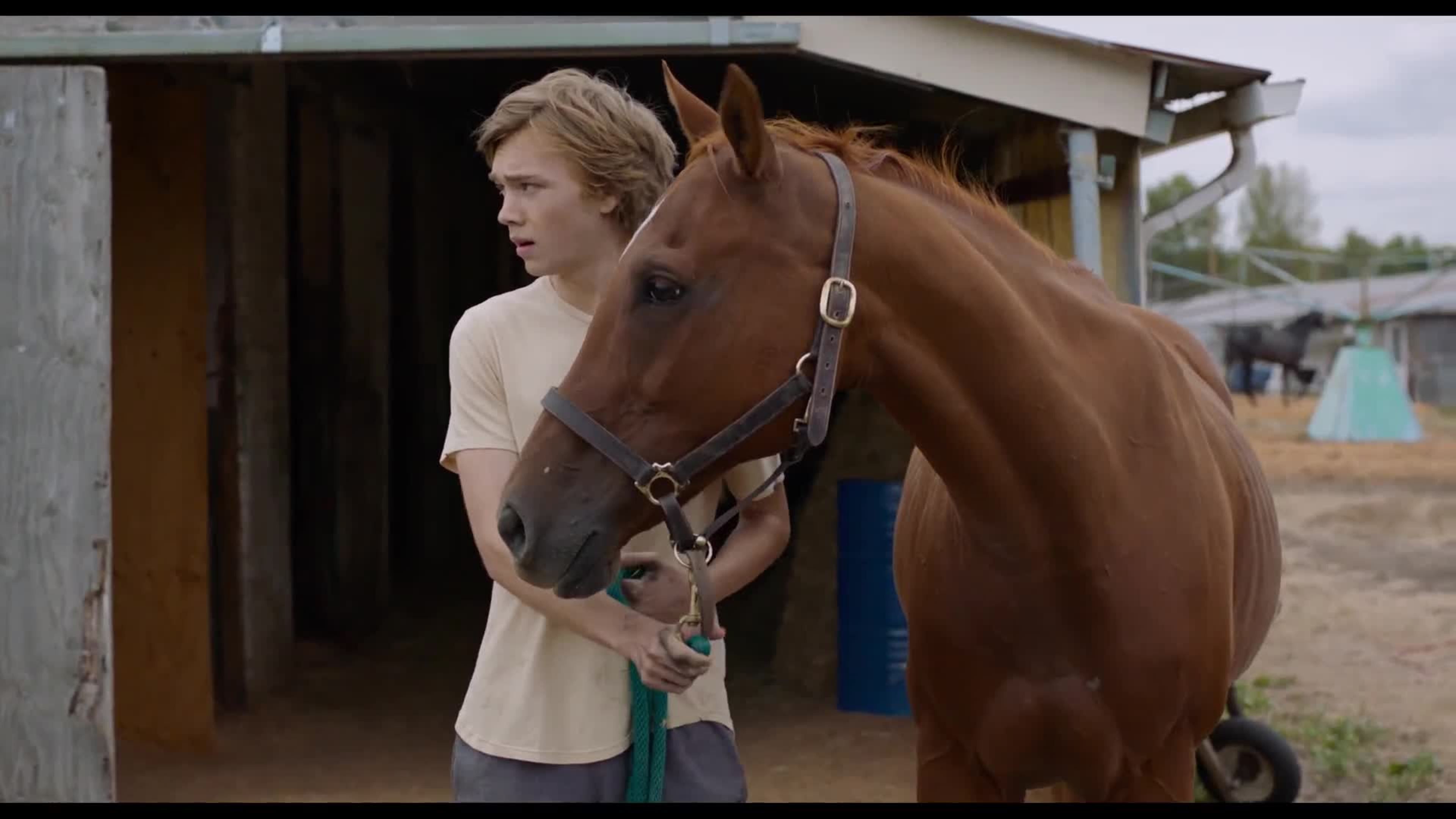 Charley Thompson: Il trailer del film