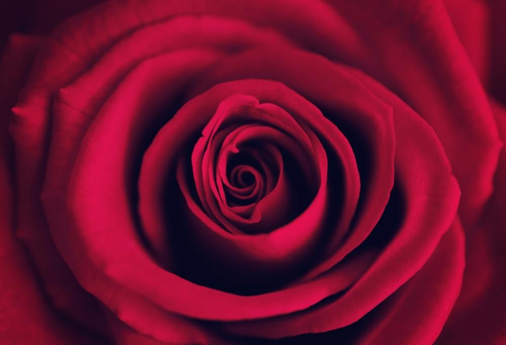 La musica contro la violenza sulle donne: il video di Women in Jazz Unite! Italy