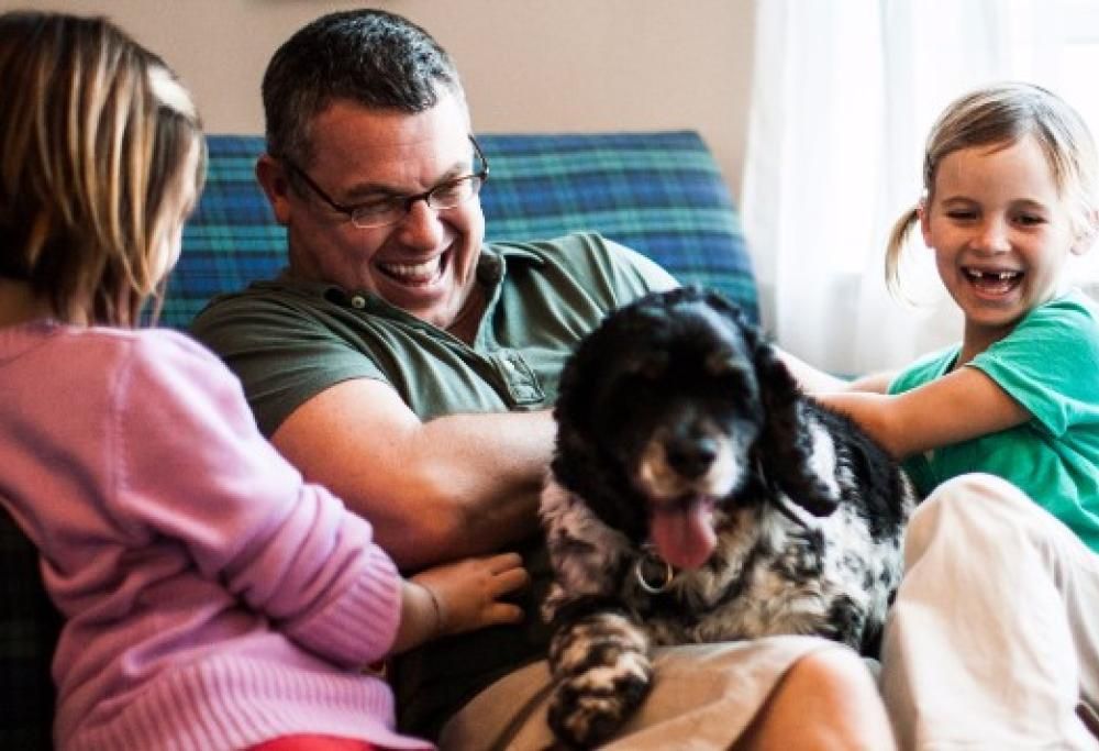 Anche i cani nell’accordo per il mantenimento dopo la separazione