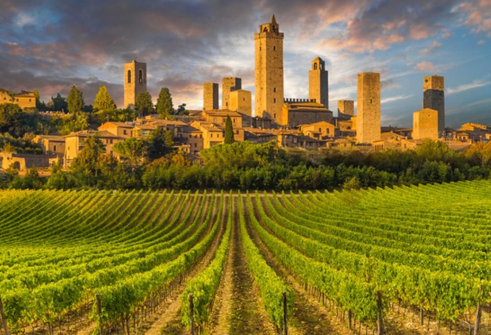 Vino e design: le cantine italiane dove la vendemmia diventa un’opera d’arte