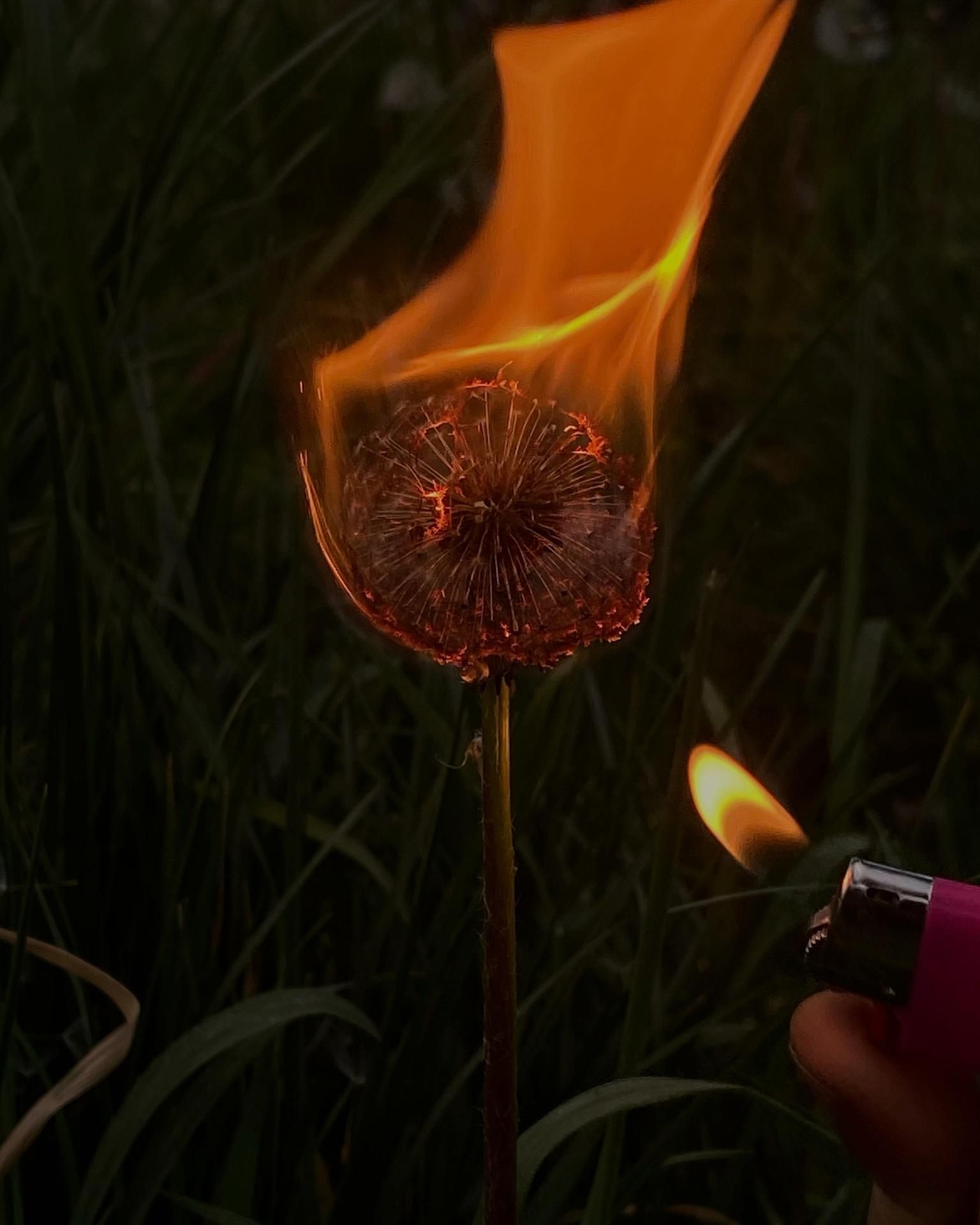 Milano PhotoVogue Festival 2022