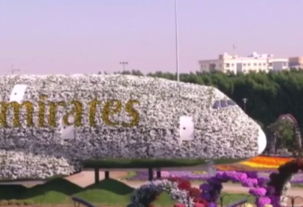 L’aereo floreale degli Emirati entra nel Guinnes