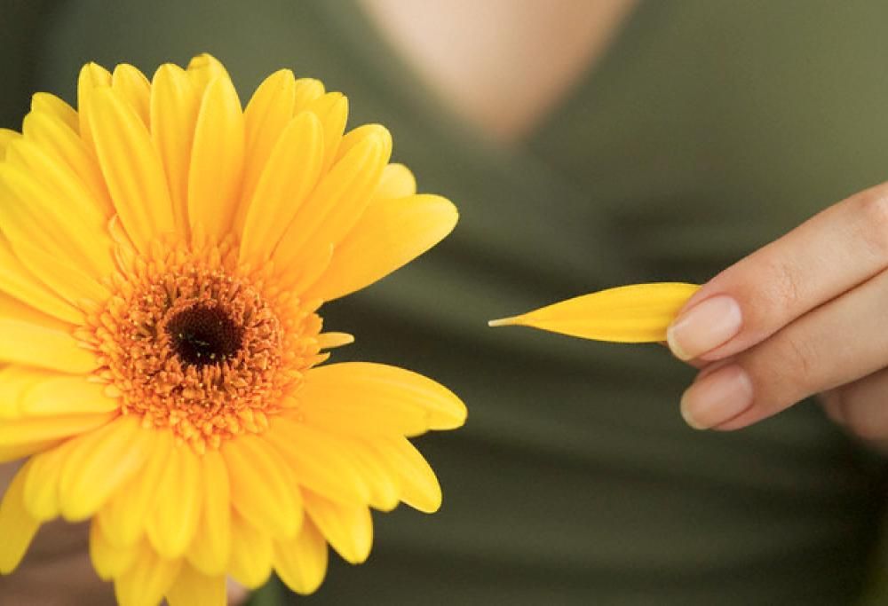 Il “petaloso” arriva nella moda