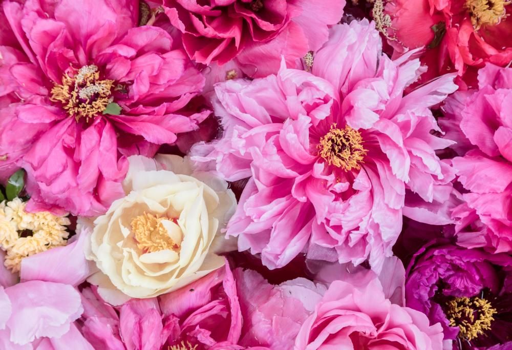 Arriva San Valentino… ma sapete in realtà chi era San Valentino?