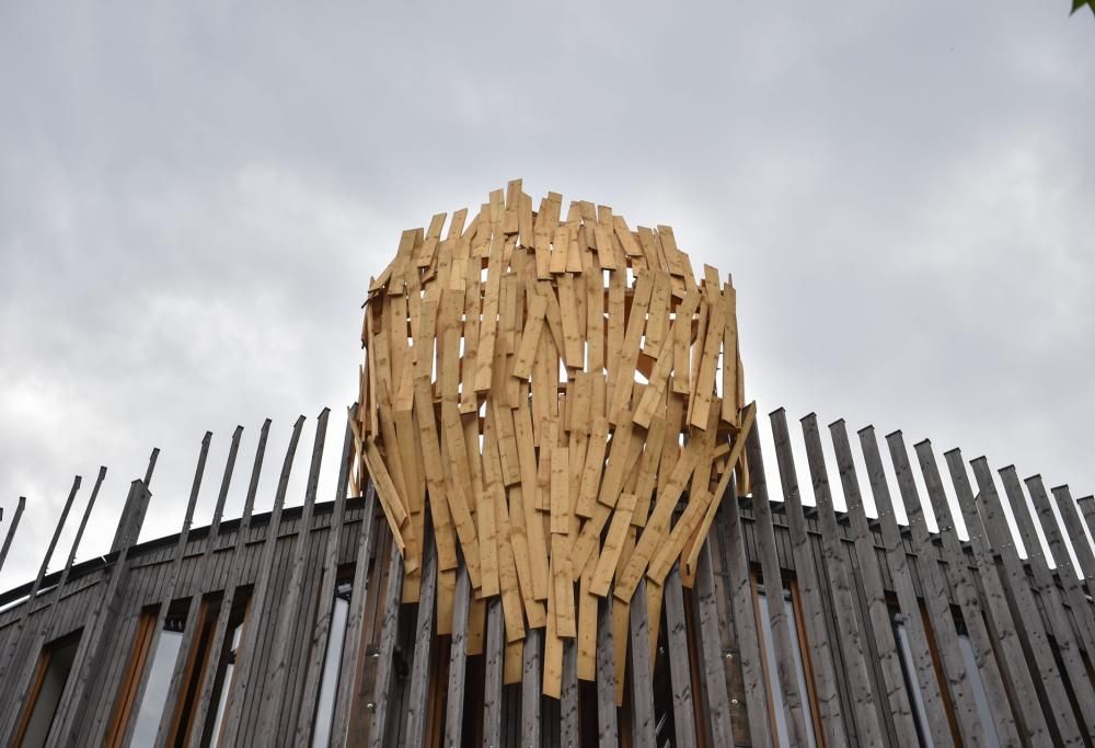 Strani nidi giganteschi sono apparsi a Milano:  l’enigma risolto