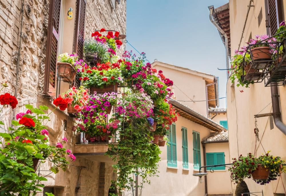 Balconi fioriti e splendide piante: ecco come fare