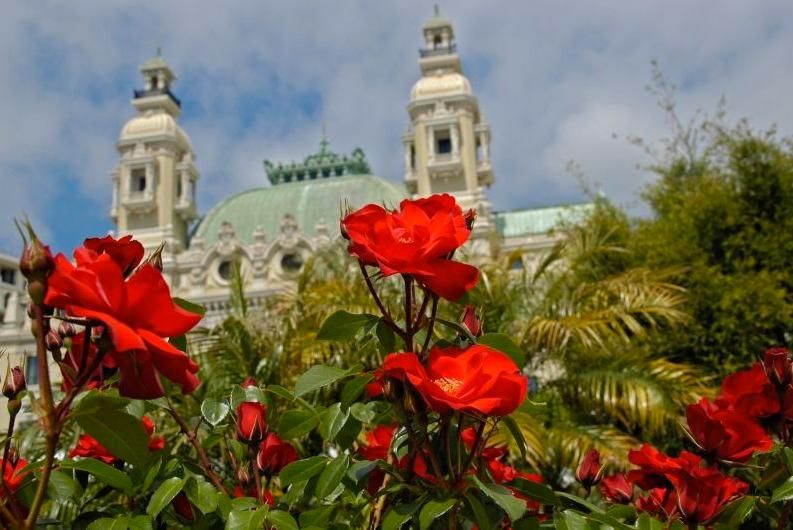 Concorso Internazionale di Bouquet