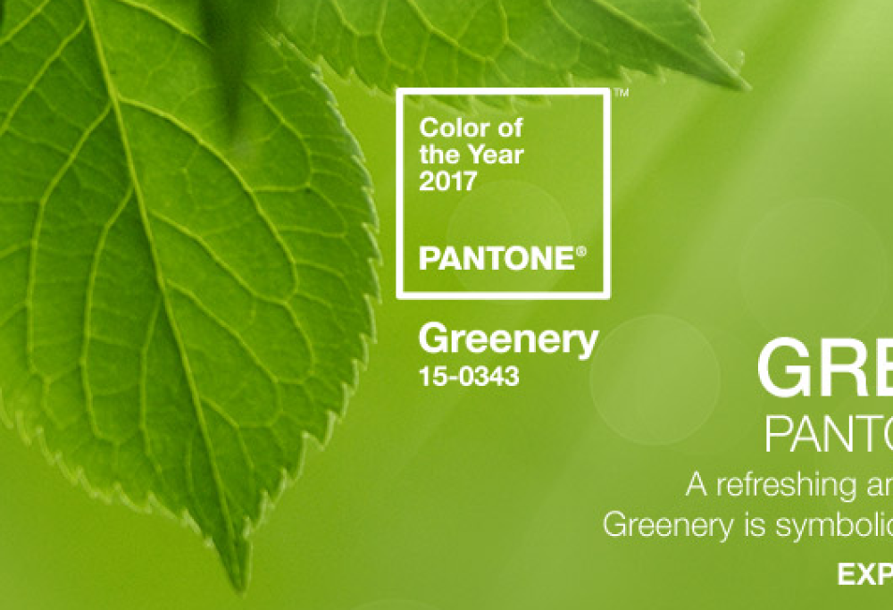 Greenery è il colore del 2017: ecco la scelta di Pantone