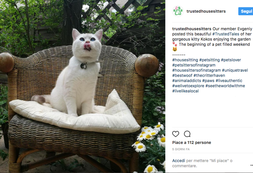 Ecco come soggiornare (senza pagare) in dimore da sogno!