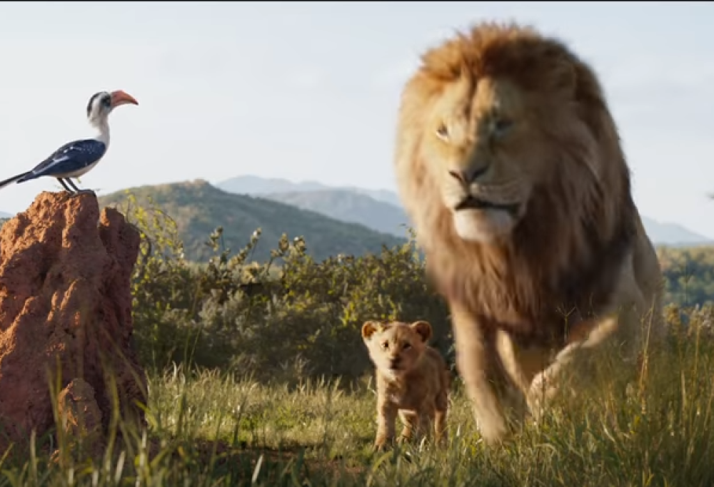 Il Re Leone: guarda le nuove immagini inedite