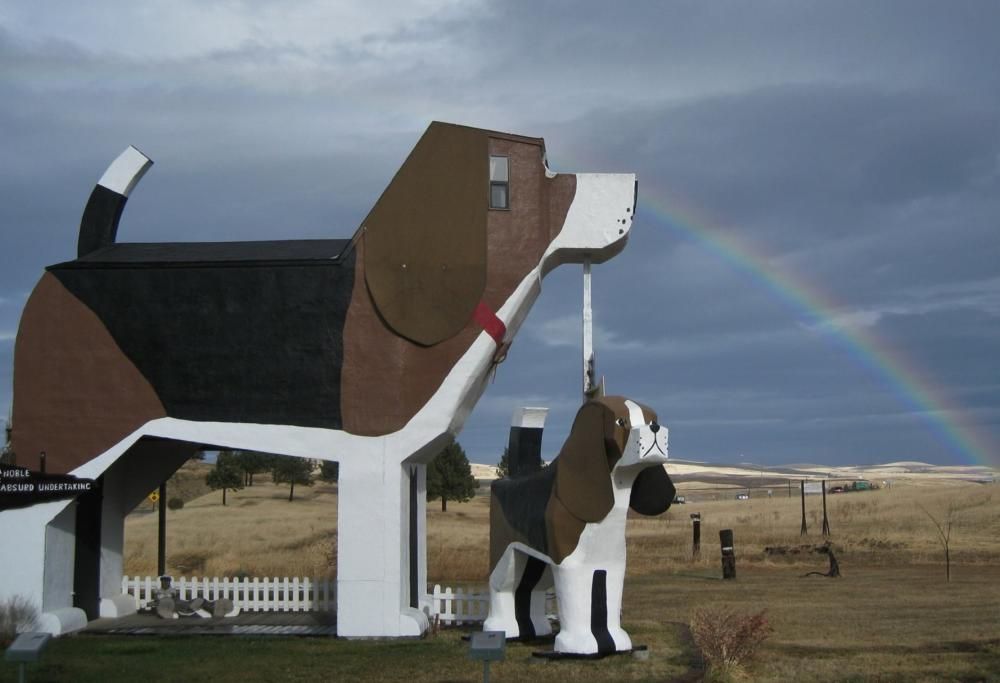 Vi piacerebbe dormire in una casa a forma di cane? O in una sfera di legno sopra un albero? Ecco i 7 alloggi più incredibili del mondo!