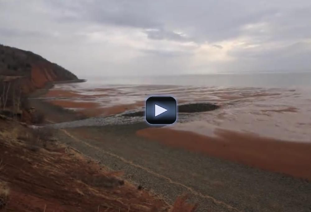 La bassa marea che prosciuga la Baia di Fundy