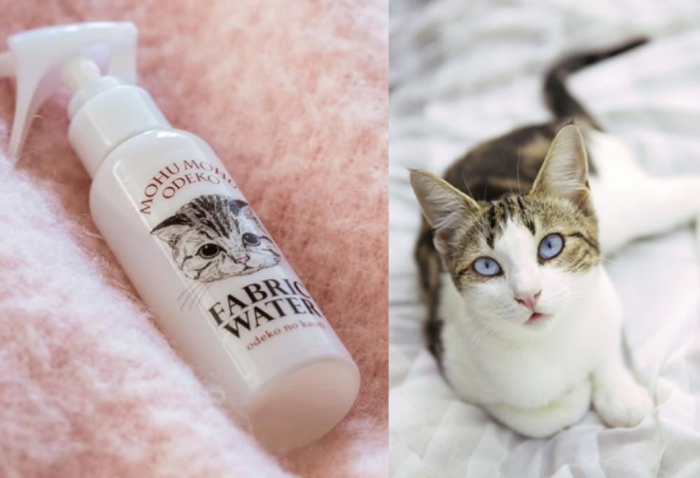 Inventato in Giappone lo spray al profumo di gatto