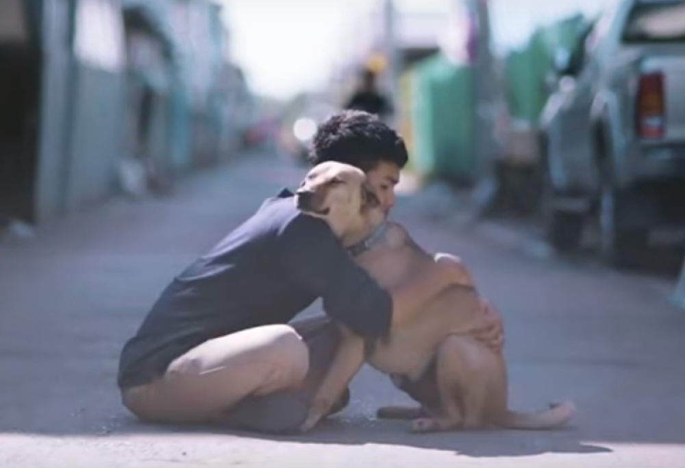 L’uomo che abbraccia cani randagi: il video