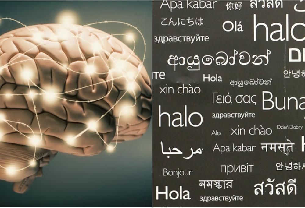 Imparare una nuova lingua ha vantaggi sorprendenti. Ecco quali