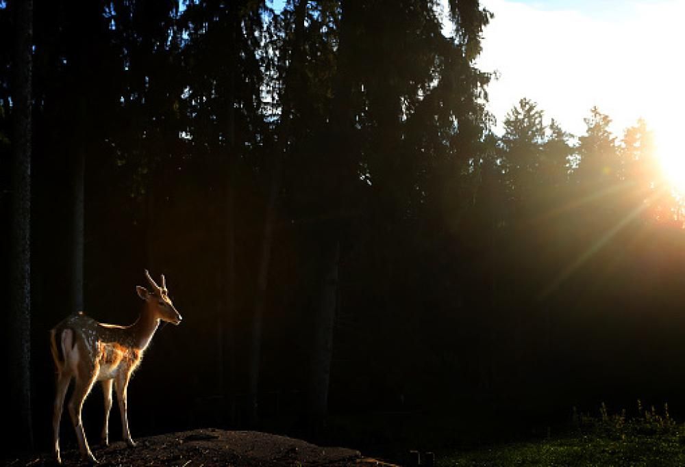 La casa mobile con terrazzo e idromassaggio per vacanze di lusso immersi nella natura