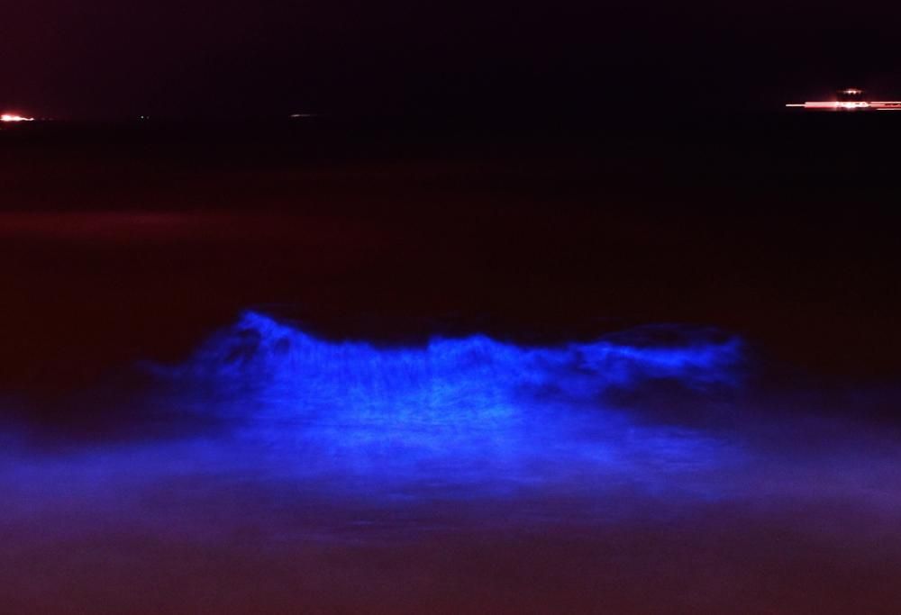 Il mistero dell’acqua iridescente di Porto Selvaggio: lo spettacolo mozzafiato