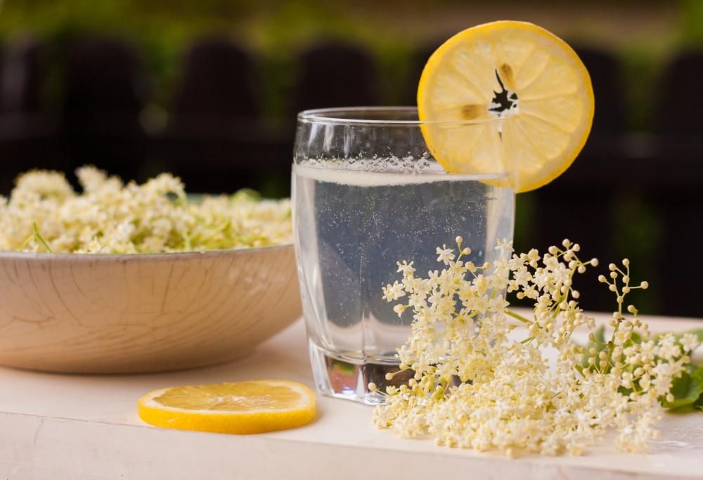 Fiori di sambuco: proprietà, benefici e ricette
