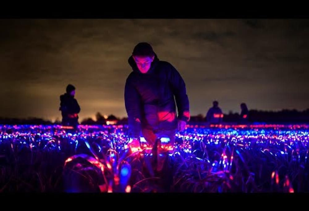 Arte e agricoltura: il video magico che fa riflettere