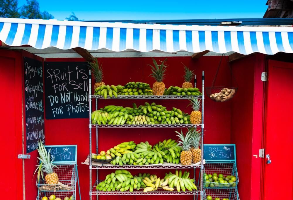 Le banane potrebbero scomparire nel 2050!