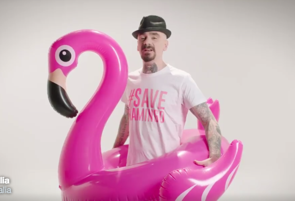 Fa sorridere (e fa riflettere): guarda il video dedicato al fenicottero