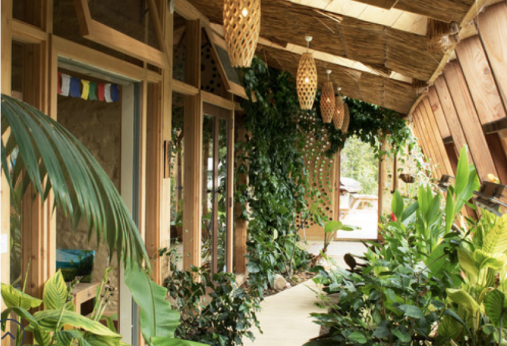 Ecologica e da sogno: ecco la casa mozzafiato di una famiglia in Nuova Zelanda