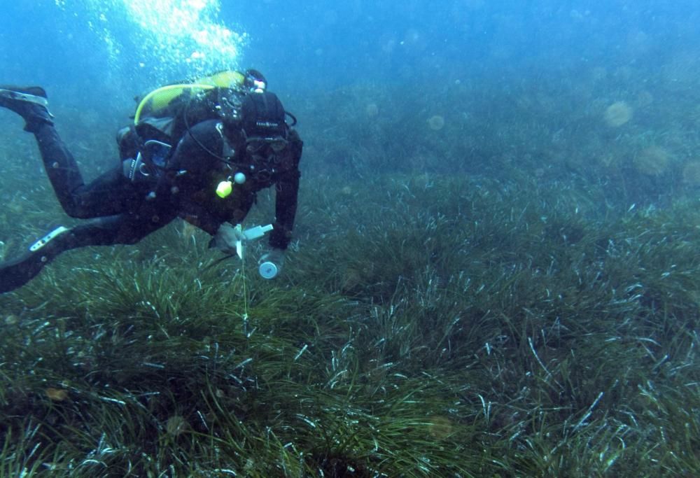 Tutta la magia del primo museo subacqueo del Mediterraneo