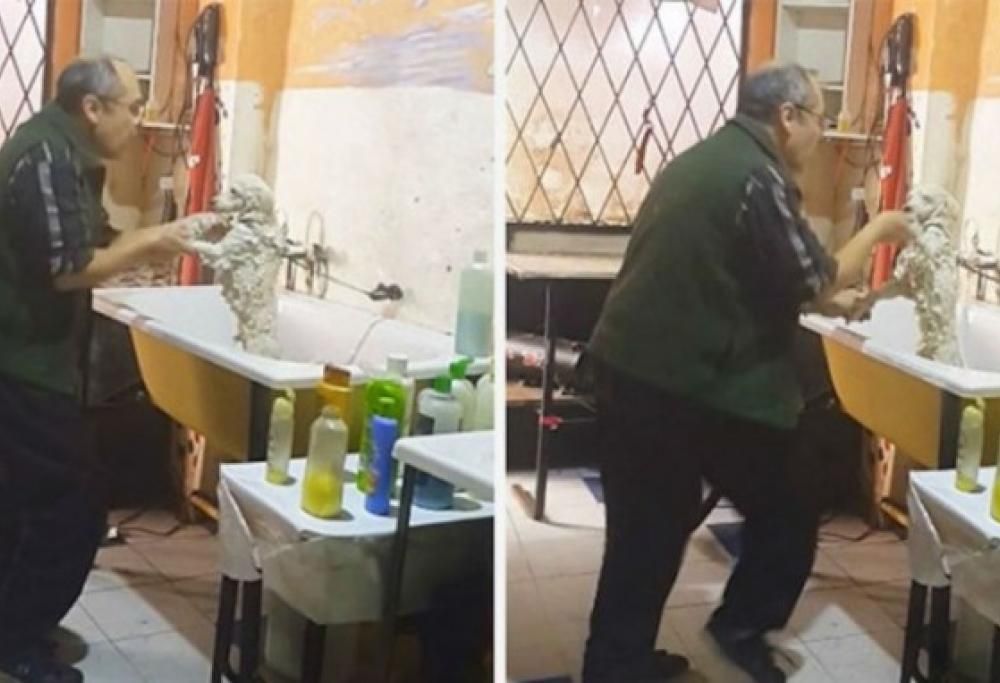 Il toelettatore balla mentre insapona il cagnolino