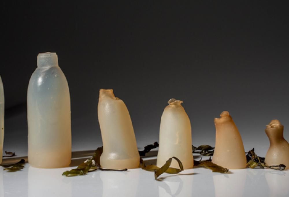 Mai più bottiglie di plastica