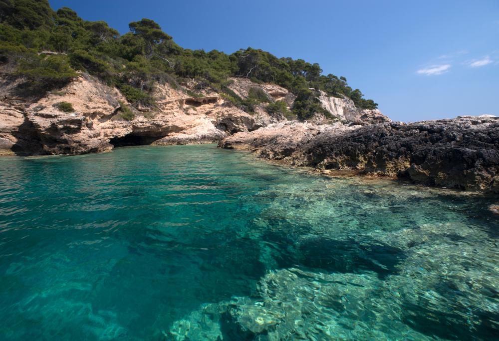 Puglia o Maldive? L’incantevole barriera corallina scoperta nel nostro paese
