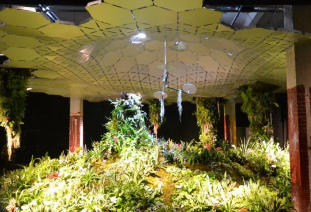 Un parco sotterraneo nel deposito della metro. New York progetta la Lowline