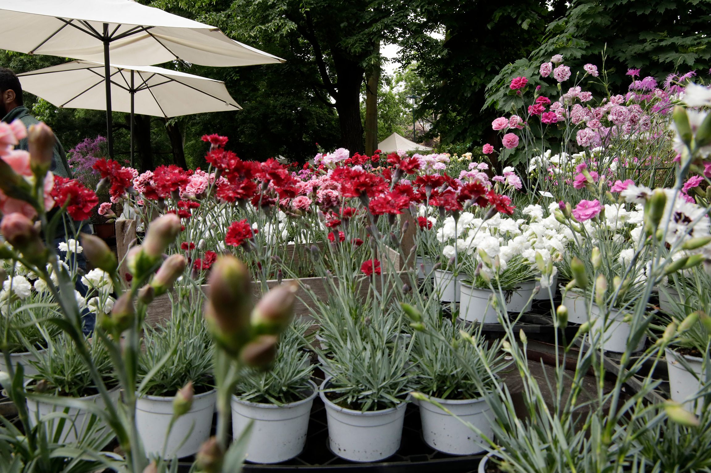 _AAC6889_Orticola 2025_Foto Aldo Castoldi