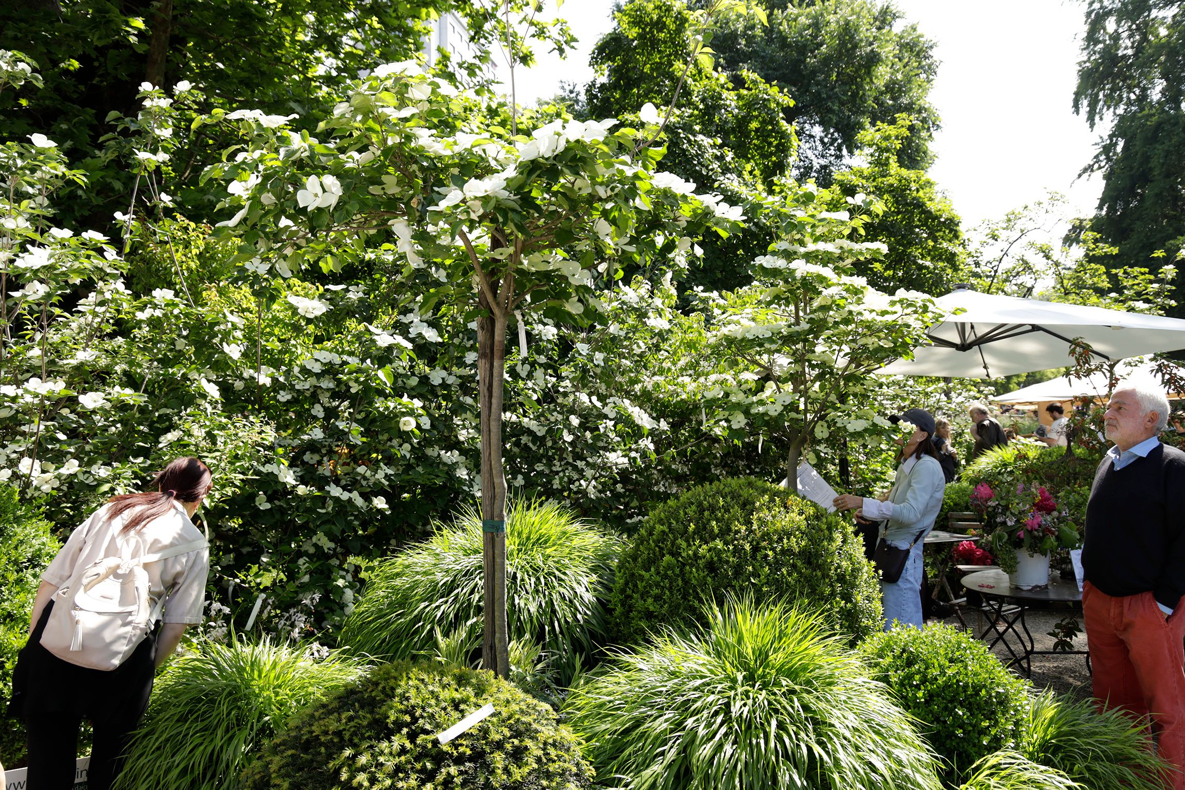 _AAC9181_Orticola 2025_Foto Aldo Castoldi