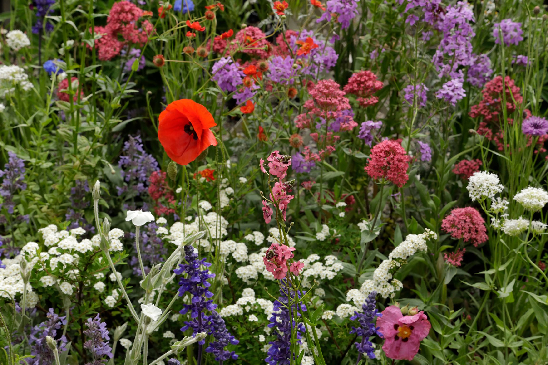 _AAC3220_Orticola 2025_Foto Aldo Castoldi