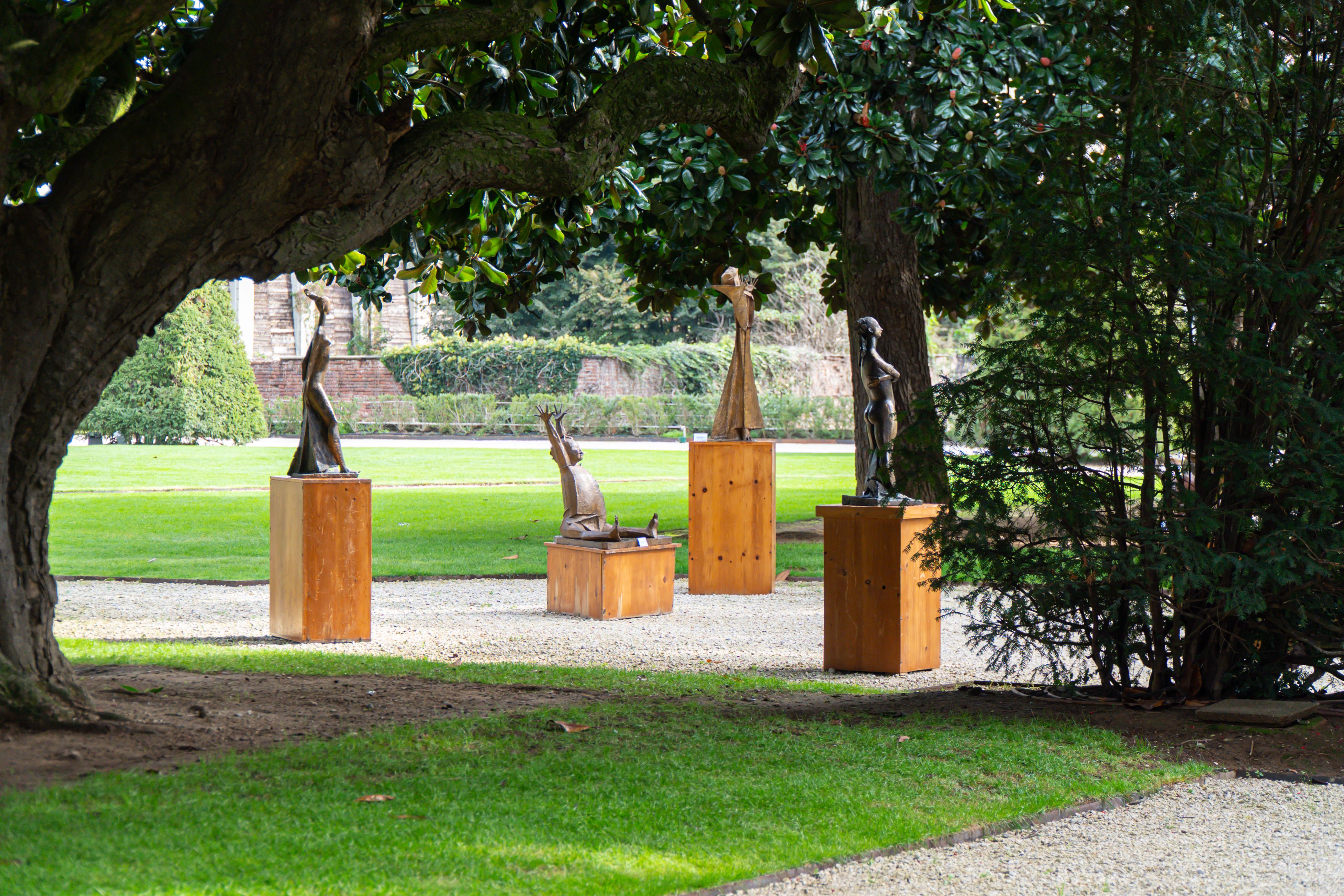 DSC03507 copia