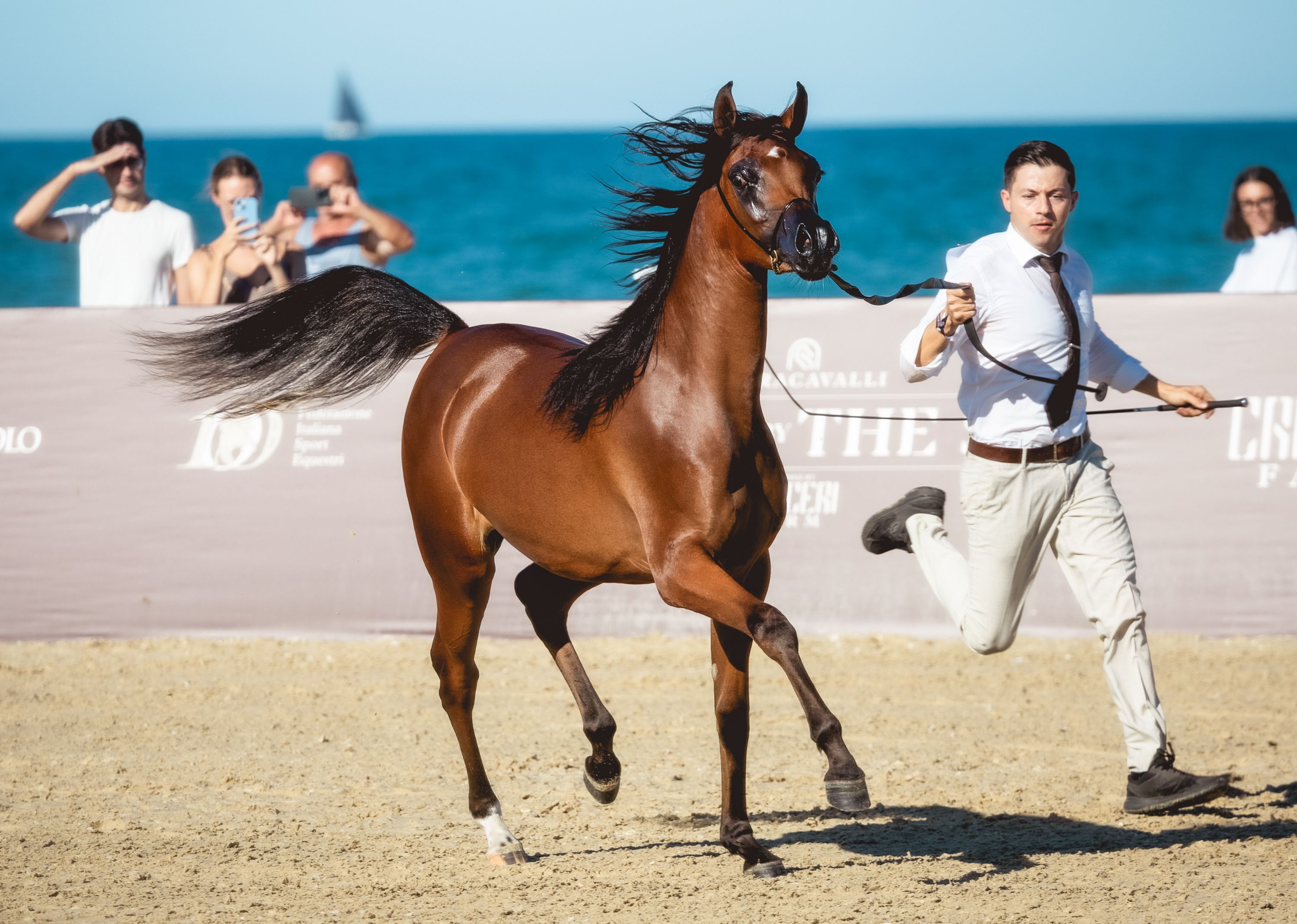 Fieracavalli Riding By The Sea_40° Campionato italiano cavallo arabo