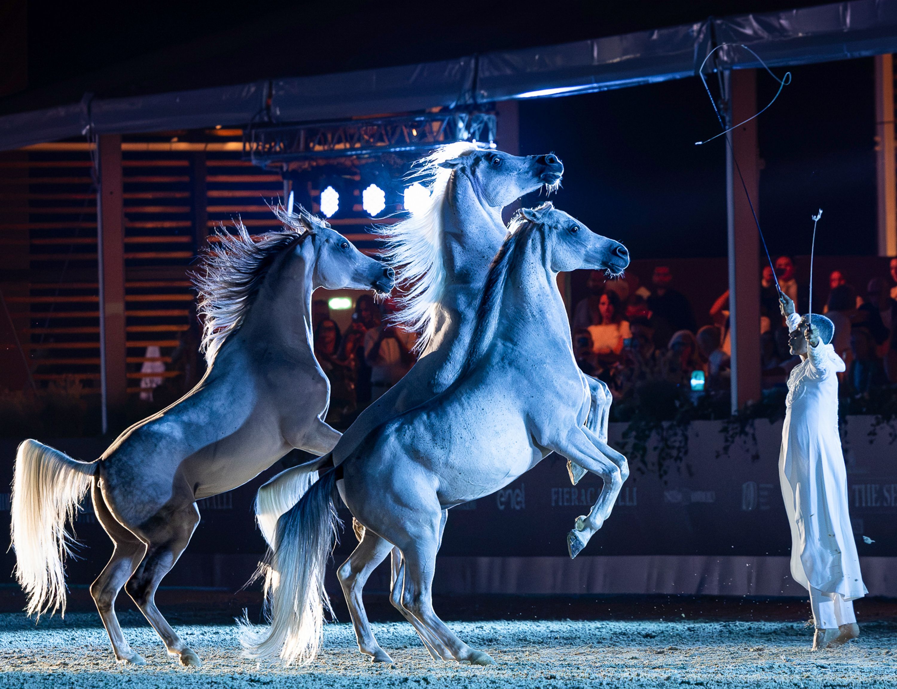 Fieracavalli Riding By The Sea_Horses on the night Sea