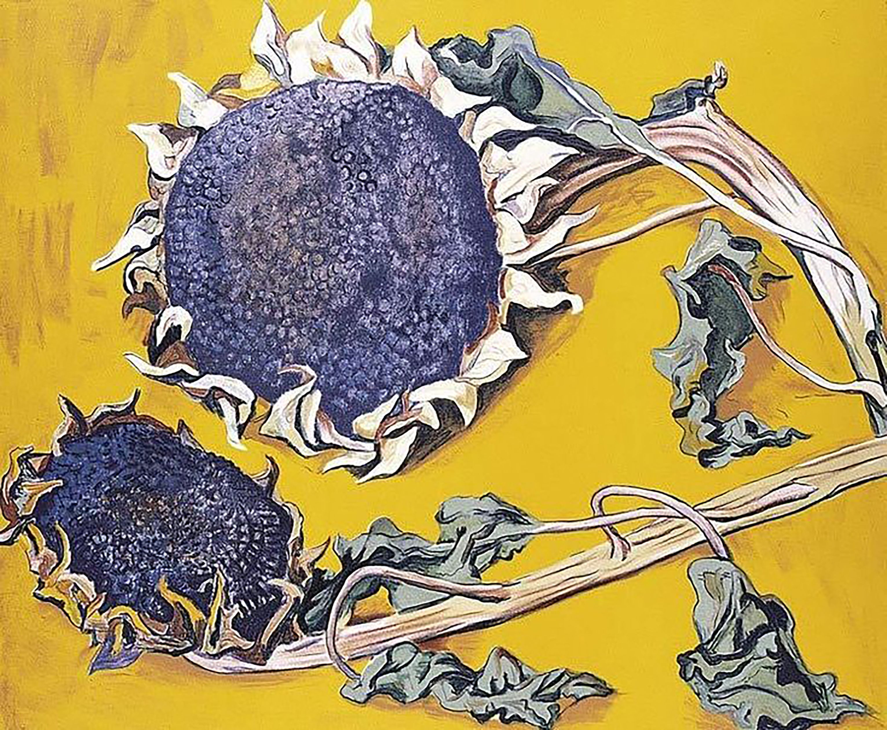 I girasoli
