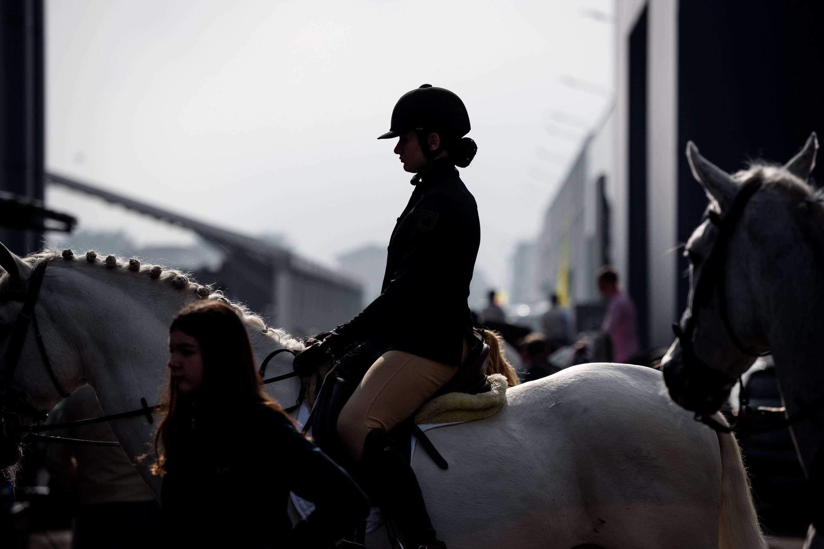 Fieracavalli2024_Veronafiere_EnneviFoto-0307