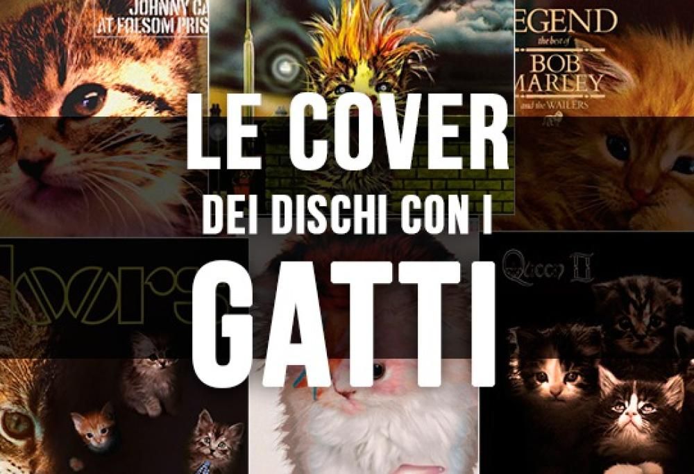 Le cover dei grandi dischi rock con i gatti!