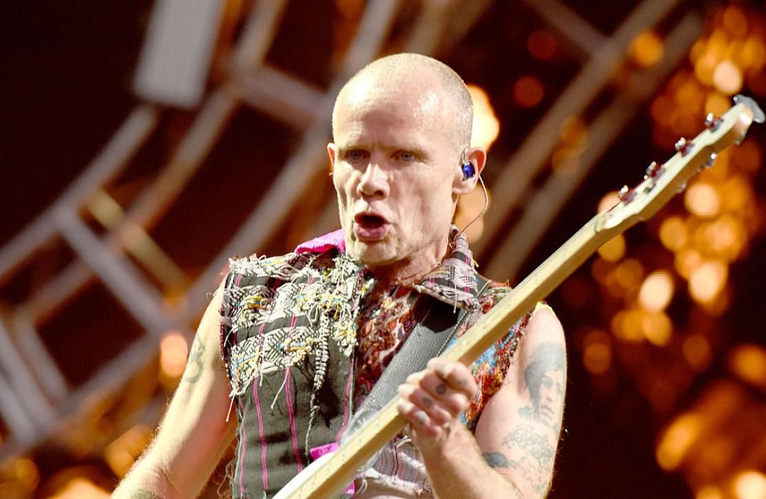 flea