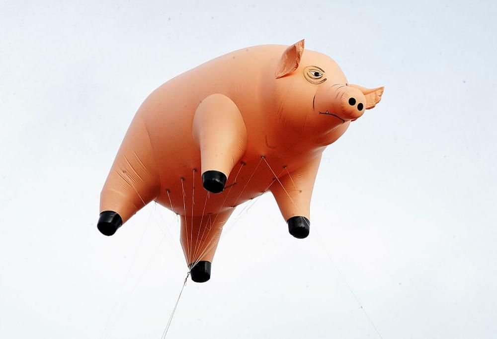 Pink Floyd: a Londra una mostra sulla loro storia. Guarda le foto delle presentazione con Nick Mason