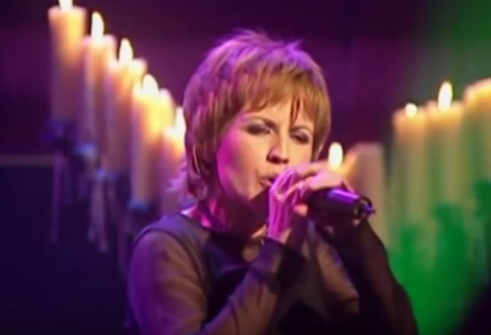 The Cranberries - Animal Instinct (live)