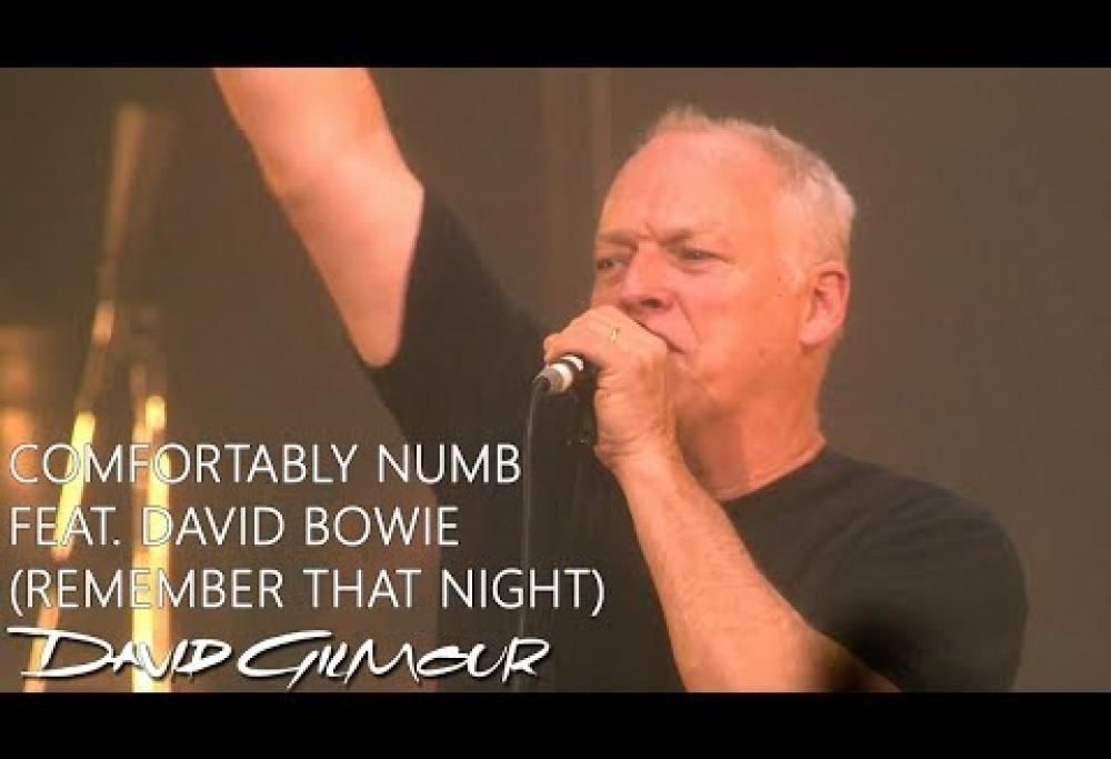 David Gilmour - Comfortably Numb feat. David Bowie
