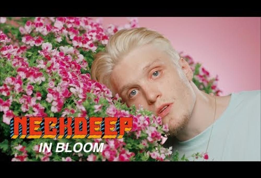 Neck Deep - In Bloom